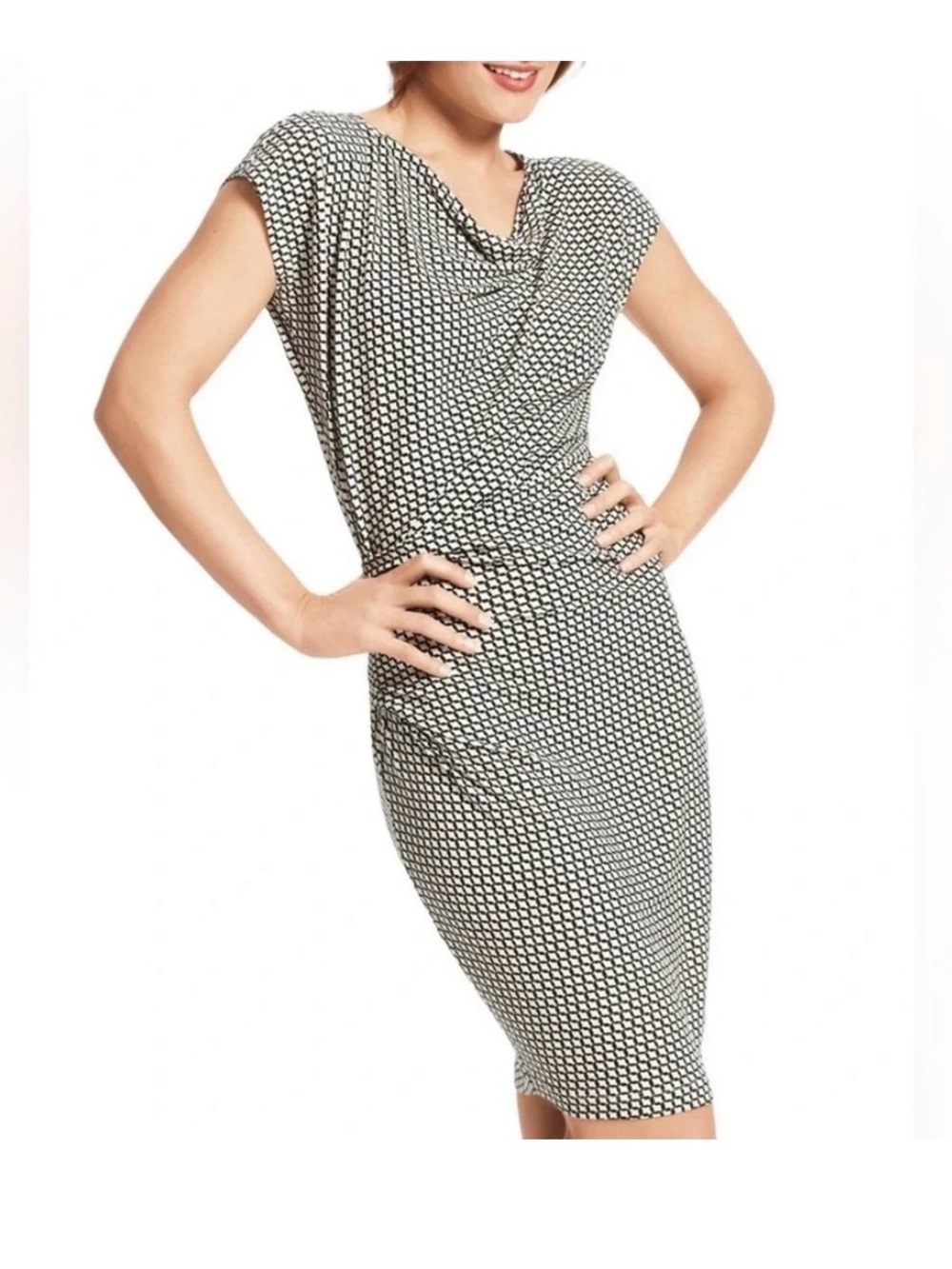 CAbi Monroe Women’s Dress in Black/White Size Large